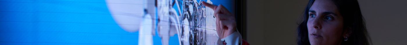 Bild zu Global Process Owner - Accounts Payable